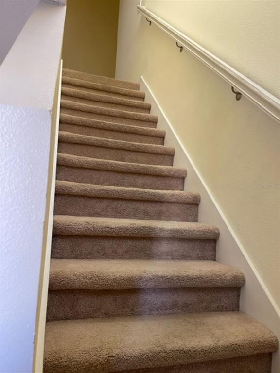 A carpeted staircase with a white handrail leads upward between two walls — 2950 WILLOWLEAF LANE, WESLEY CHAPEL, FL