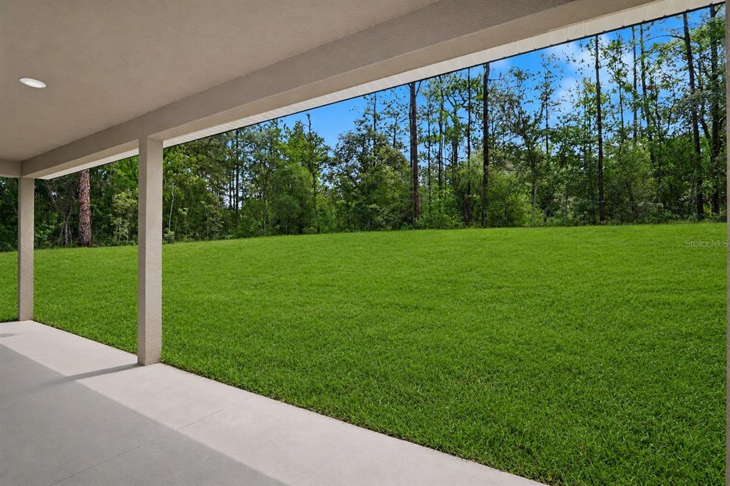 A covered concrete patio overlooks a large, grassy backyard bordered by a line of trees — 7945 N IBSEN DRIVE, CITRUS SPRINGS, FL