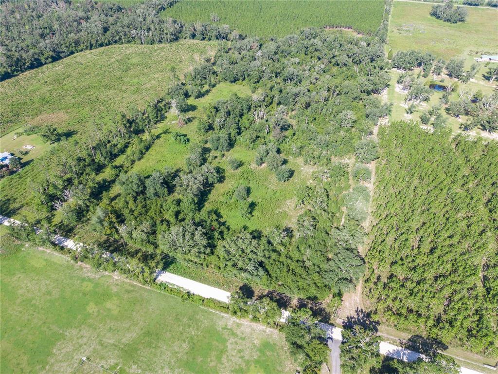 An aerial view shows a wooded lot bordered by open fields and a paved road — 3901 181ST ROAD, LIVE OAK, FL