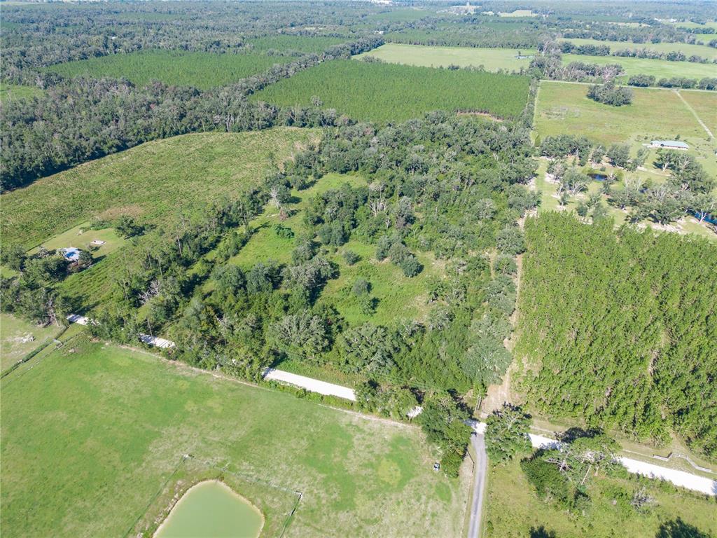 An aerial view shows a large, wooded lot bordered by open pastures and a small pond — 3901 181ST ROAD, LIVE OAK, FL