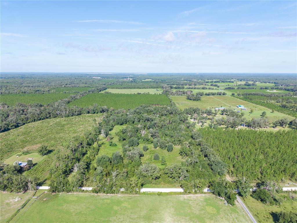 An aerial view shows a wooded lot bordered by open fields and a rural road — 3901 181ST ROAD, LIVE OAK, FL
