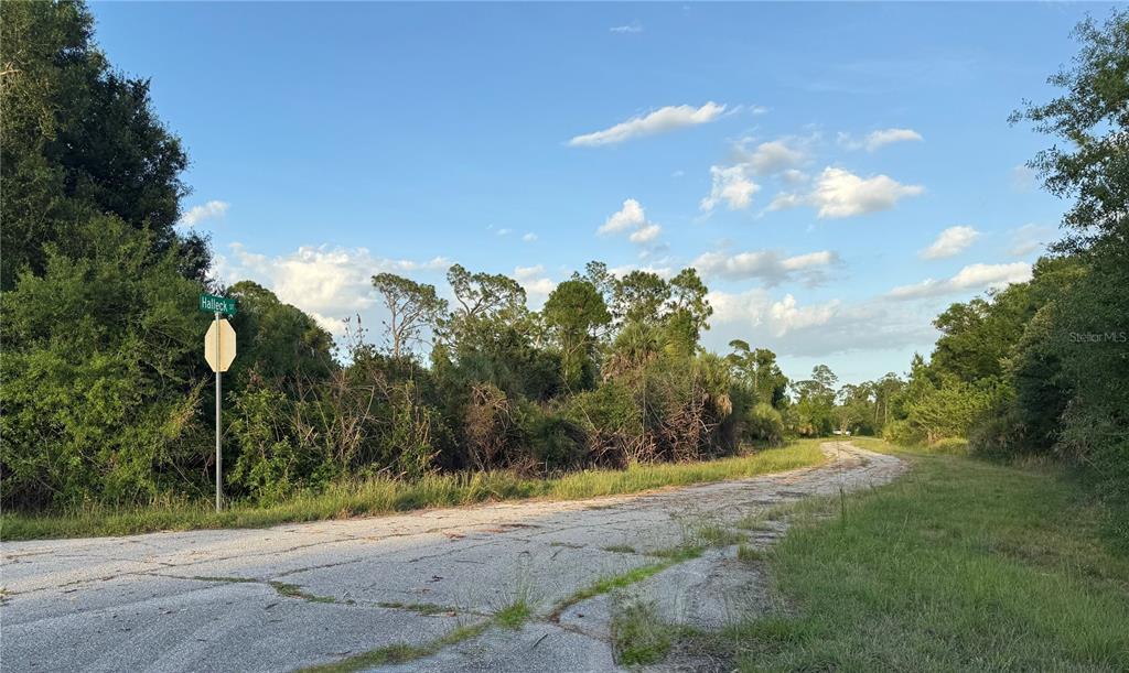 An overgrown, vacant corner lot with a paved road and a street sign — Lot 24 HINSHAW AVENUE, NORTH PORT, FL