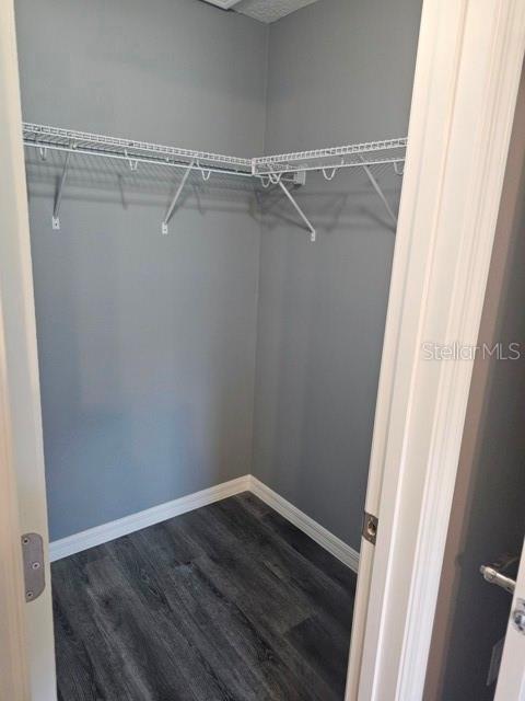 A walk-in closet features gray walls, dark wood-look flooring, and white wire shelving — 650 NW 5TH STREET, OCALA, FL