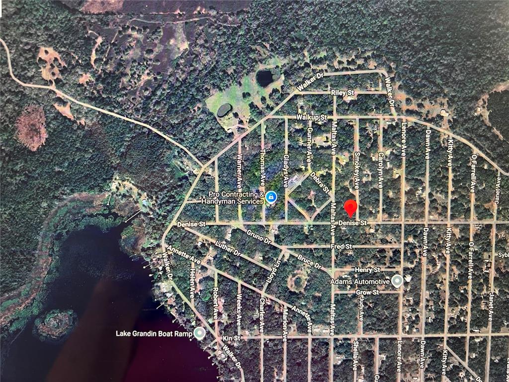 2008 DENISE STREET, INTERLACHEN, FL — photo 3 of 5