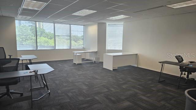 An office space features gray carpet, white walls, large windows, and several desks — 250 MUÑOZ RIVERA, SAN JUAN, PR