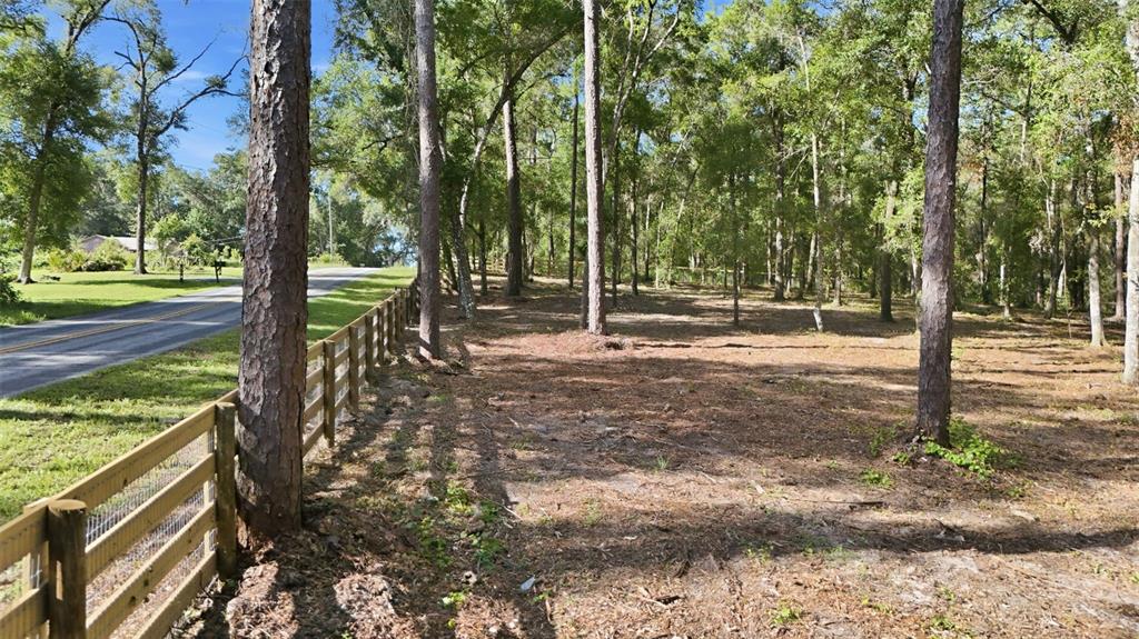 A wooden fence runs along a paved road next to a wooded, undeveloped lot — 5230 S ROBERT BLAKE AVENUE, INVERNESS, FL