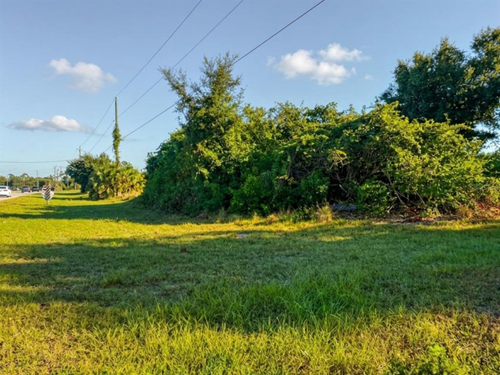 A grassy lot features dense green vegetation and overhead power lines under a blue sky — 12303 GULFSTREAM BOULEVARD, PORT CHARLOTTE, FL