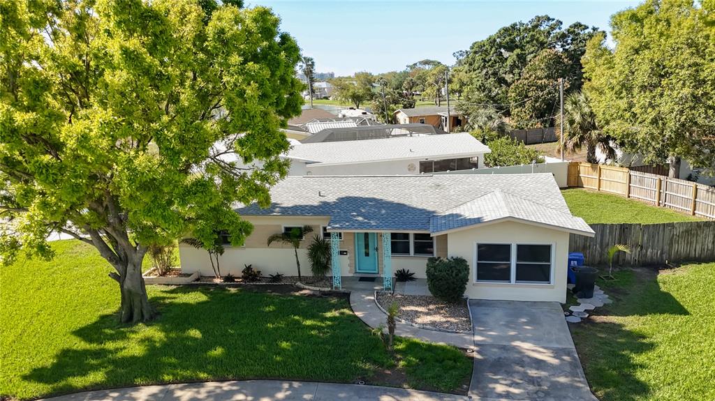 A single-story house with a light-colored exterior, a blue front door, and a large tree — 396 LEWIS BOULEVARD SE, ST PETERSBURG, FL