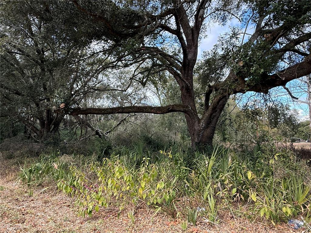 0 HILDA RD, DADE CITY, FL — photo 2 of 6