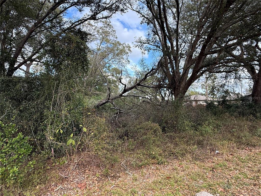 0 HILDA RD, DADE CITY, FL — photo 3 of 6