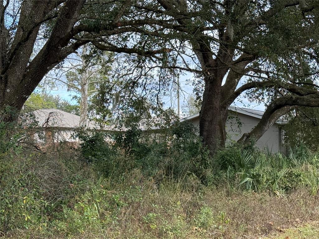 0 HILDA RD, DADE CITY, FL — photo 5 of 6