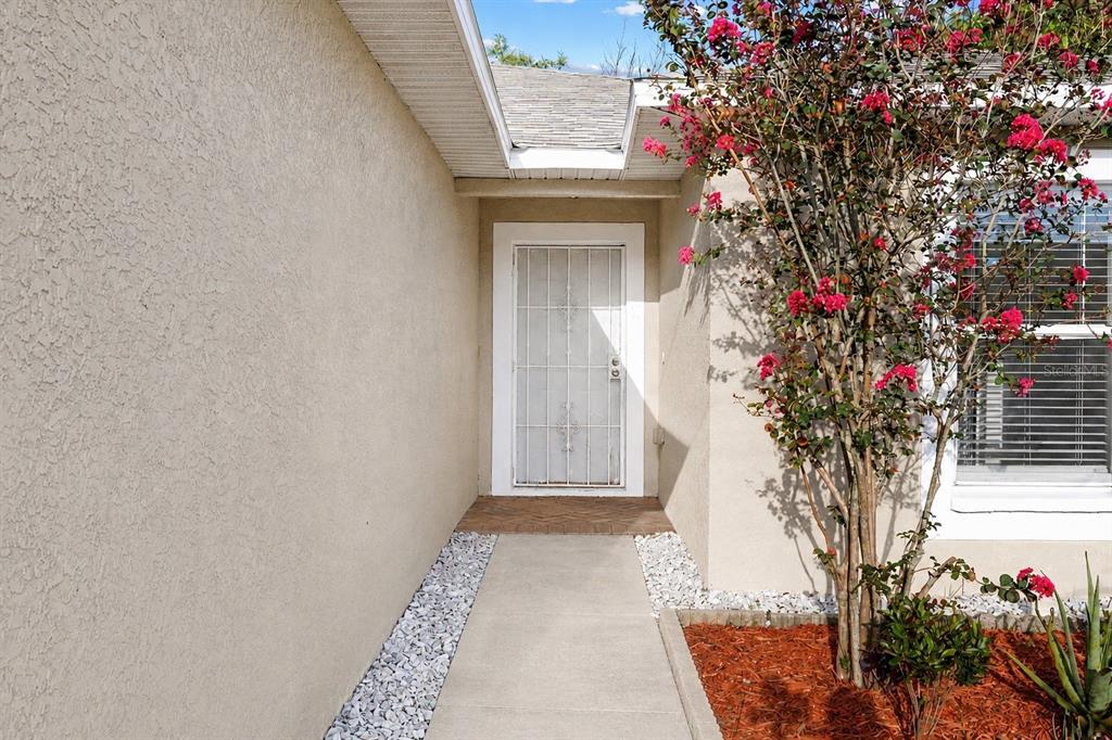 A concrete walkway leads to a front door with a white security screen — 10001 FLORENCE AVENUE N, TAMPA, FL