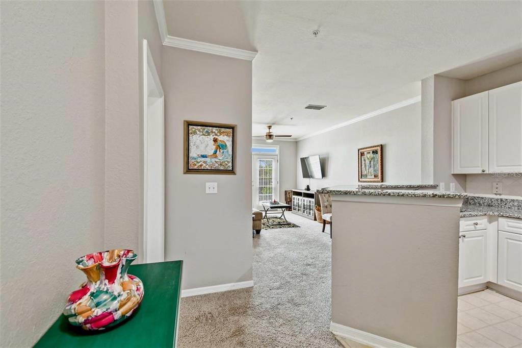 A view from a hallway looking into a living room with an adjacent kitchen area — 4221 W SPRUCE STREET UNIT 2323, TAMPA, FL