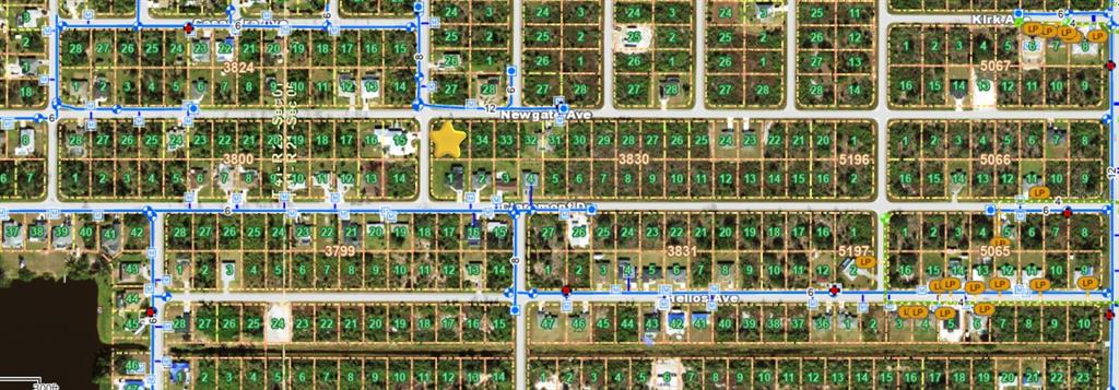 This is a map showing a residential neighborhood with numbered lots and street names — 12055 NEWGATE AVENUE, PORT CHARLOTTE, FL