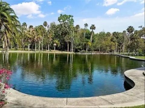 A curved concrete walkway borders a pond surrounded by lush trees and palm trees — 119 TOMOKA TRAIL UNIT 119, LONGWOOD, FL