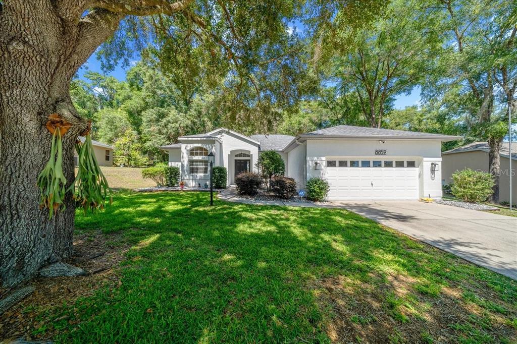 A single-story house with a white exterior, a two-car garage, and a large front tree — 8859 SW 196TH AVENUE ROAD, DUNNELLON, FL