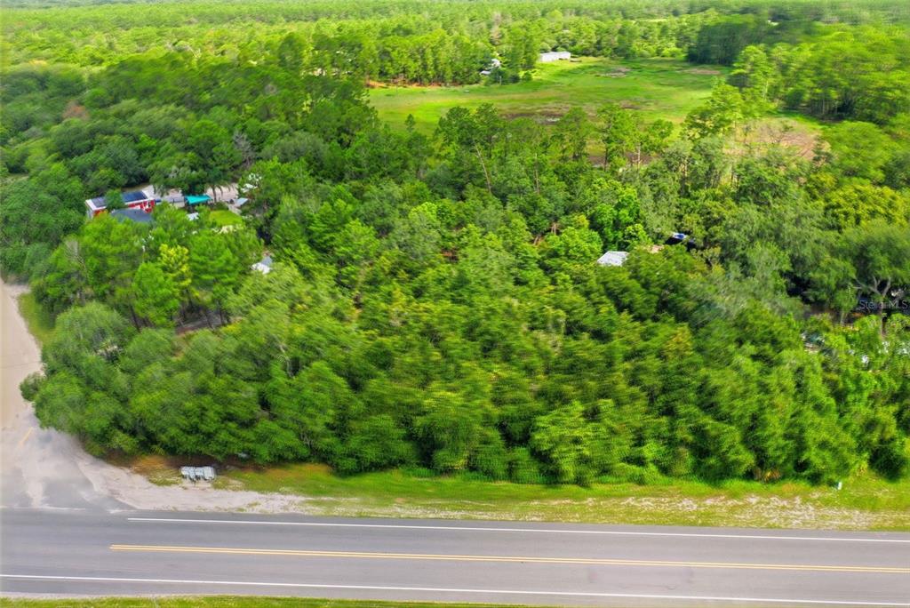 An aerial view shows a wooded lot bordering a paved road with nearby residential structures — STATE ROAD 44, EUSTIS, FL