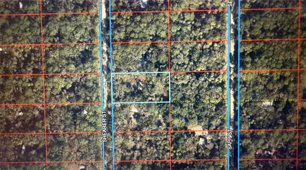407 SHEARER STREET, INGLIS, FL — photo 5 of 5