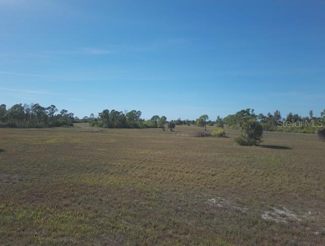 A wide, flat, grassy field under a clear blue sky with scattered trees — 12455 BLUE MARLIN ROAD, PLACIDA, FL