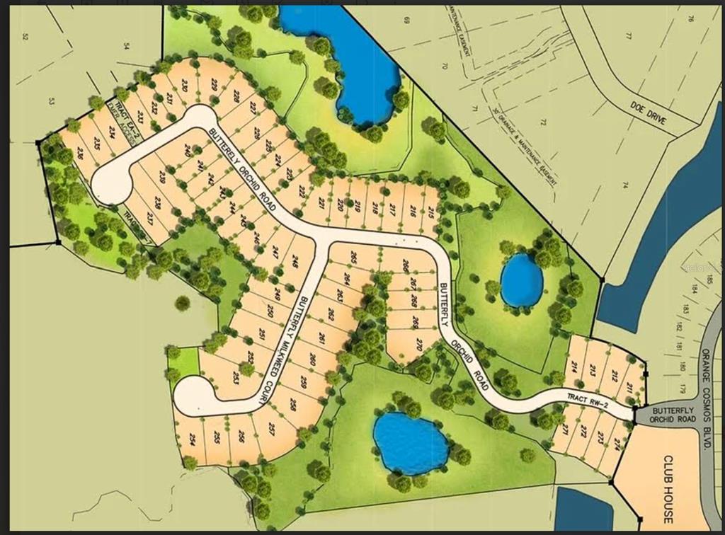 This is a site plan rendering showing the layout of residential lots and streets — 1210 BUTTERFLY ORCHID ROAD, DAVENPORT, FL