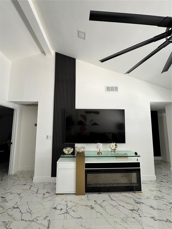 A living room features a wall-mounted television, a fireplace console, and black slat paneling — 10114 BRIARWICK COURT, TAMPA, FL