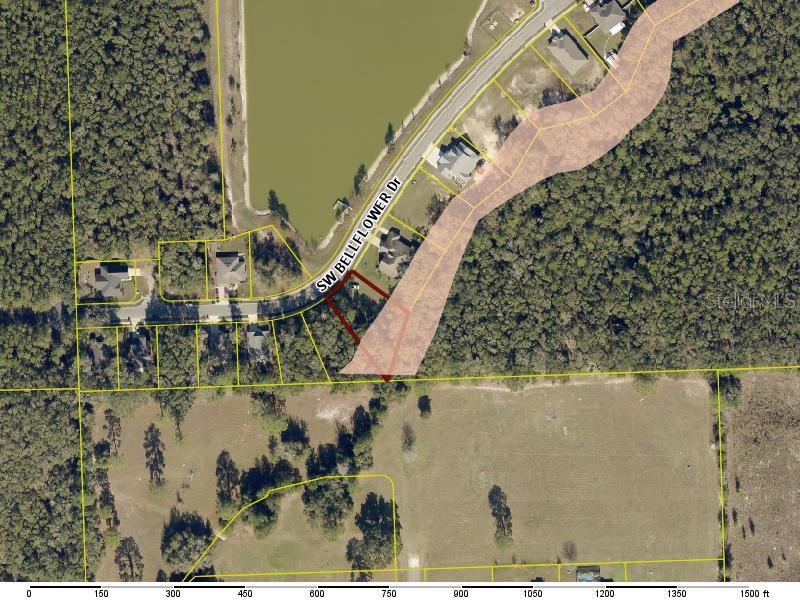 This is an aerial map showing a residential property lot highlighted in red — 569 SW BELLFLOWER DRIVE, LAKE CITY, FL