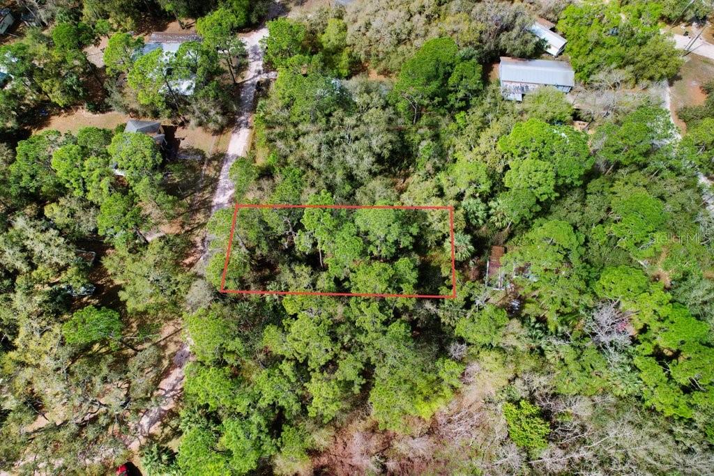 An aerial view shows a rectangular plot of land outlined in red amidst dense trees — 0 YUCATAN DRIVE, LAKE WALES, FL