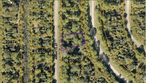 This is an aerial map showing a vacant lot outlined in purple along a street — ANNATTO STREET, NORTH PORT, FL
