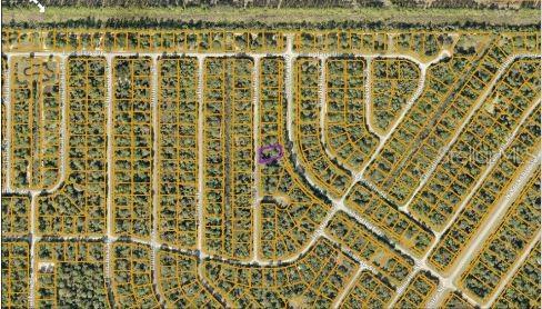 An aerial map view shows a residential neighborhood with a specific lot outlined in purple — ANNATTO STREET, NORTH PORT, FL