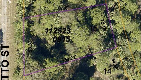 This is an aerial map showing the property boundaries of a wooded residential lot — ANNATTO STREET, NORTH PORT, FL