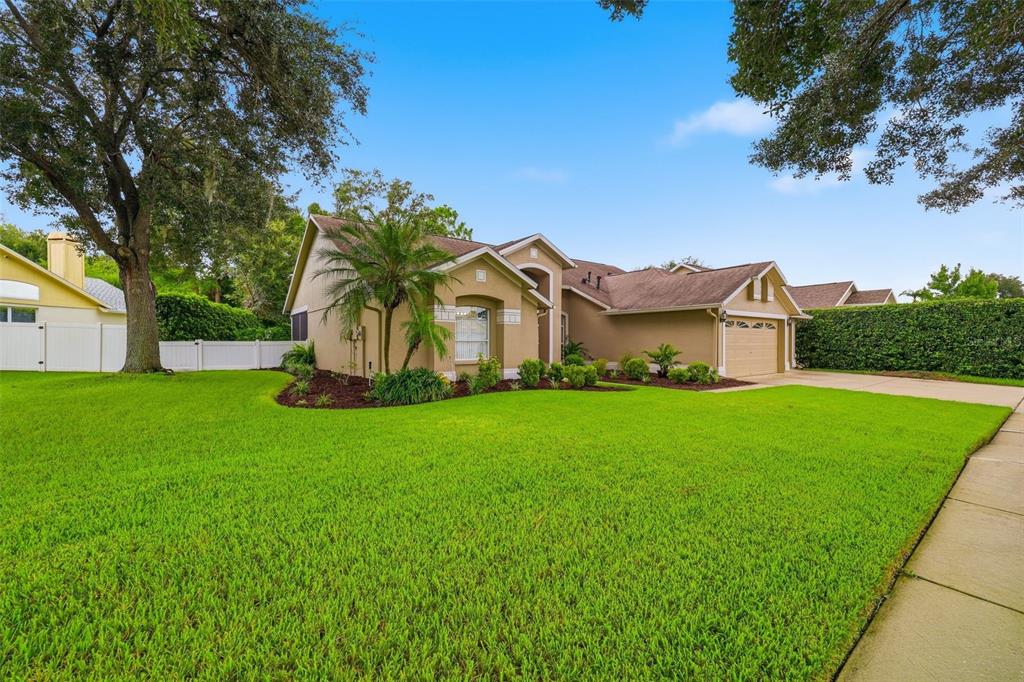 A tan single-story house with a brown roof, a palm tree, and a green lawn — 28331 OPENFIELD LOOP, WESLEY CHAPEL, FL