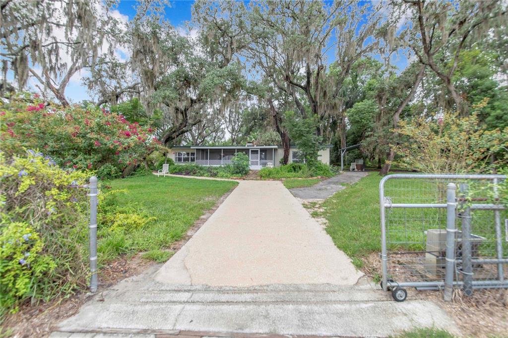 A concrete driveway leads to a single-story house surrounded by large trees with hanging moss — 490 TWIN LAKES BOULEVARD, LAKE ALFRED, FL