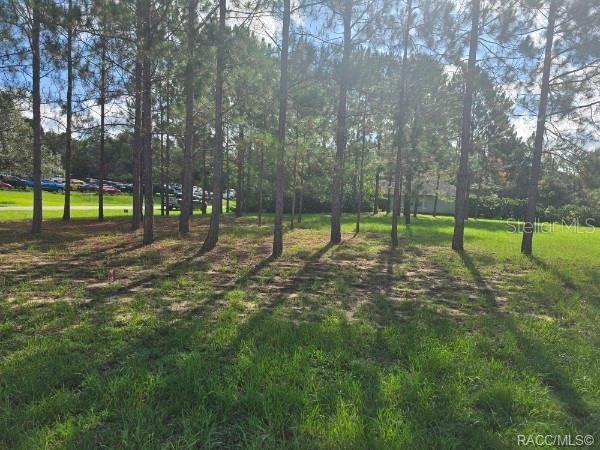 A wooded, grassy lot with tall pine trees under a partly cloudy sky — 2590 N BRENTWOOD CIRCLE, LECANTO, FL