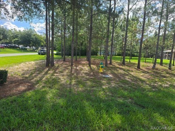 A grassy lot with pine trees and a fire hydrant sits beside a paved road — 2590 N BRENTWOOD CIRCLE, LECANTO, FL