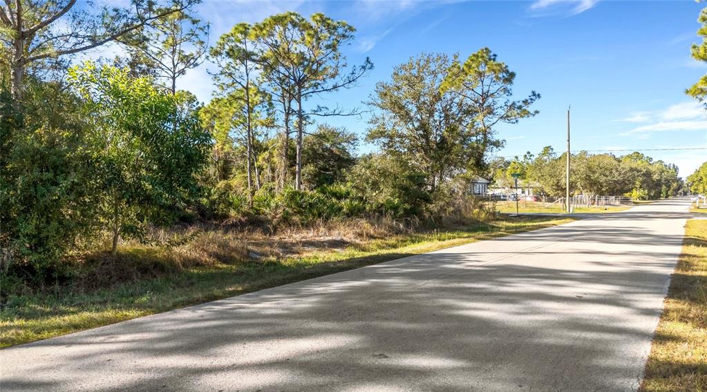A paved road runs alongside a wooded, undeveloped lot under a clear blue sky — 28149 CHINQUAPIN DRIVE, PUNTA GORDA, FL