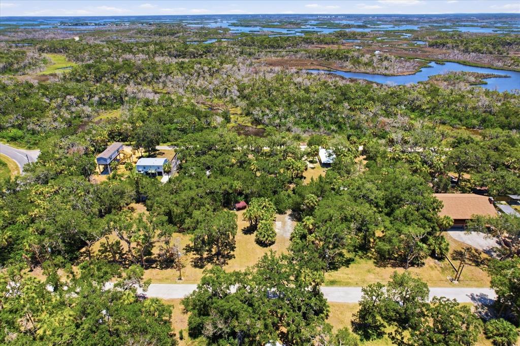 An aerial view shows several houses nestled among dense trees near a coastal marshland — 14365 W SHORECLIFF COURT, CRYSTAL RIVER, FL