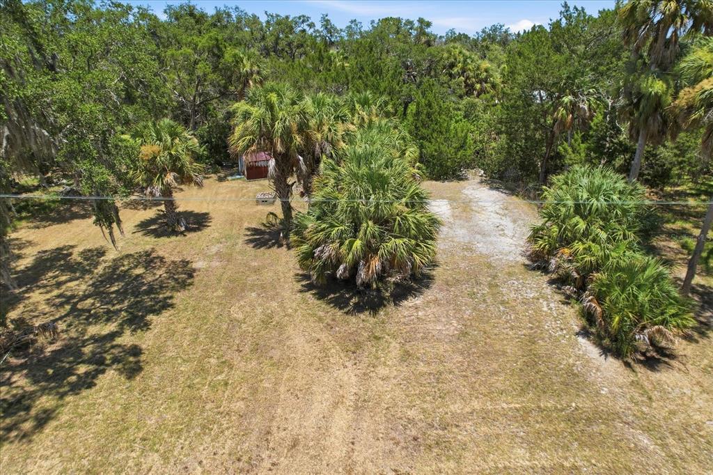 An aerial view of a grassy lot featuring several palm trees and a small shed — 14365 W SHORECLIFF COURT, CRYSTAL RIVER, FL