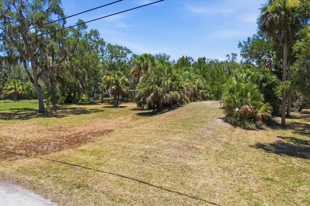A grassy, sunlit lot features scattered palm trees and mature oaks under a clear sky — 14365 W SHORECLIFF COURT, CRYSTAL RIVER, FL