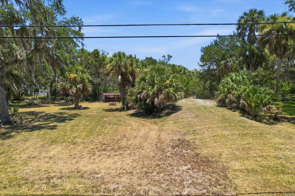 A grassy, partially wooded lot features several palm trees and a small red storage shed — 14365 W SHORECLIFF COURT, CRYSTAL RIVER, FL
