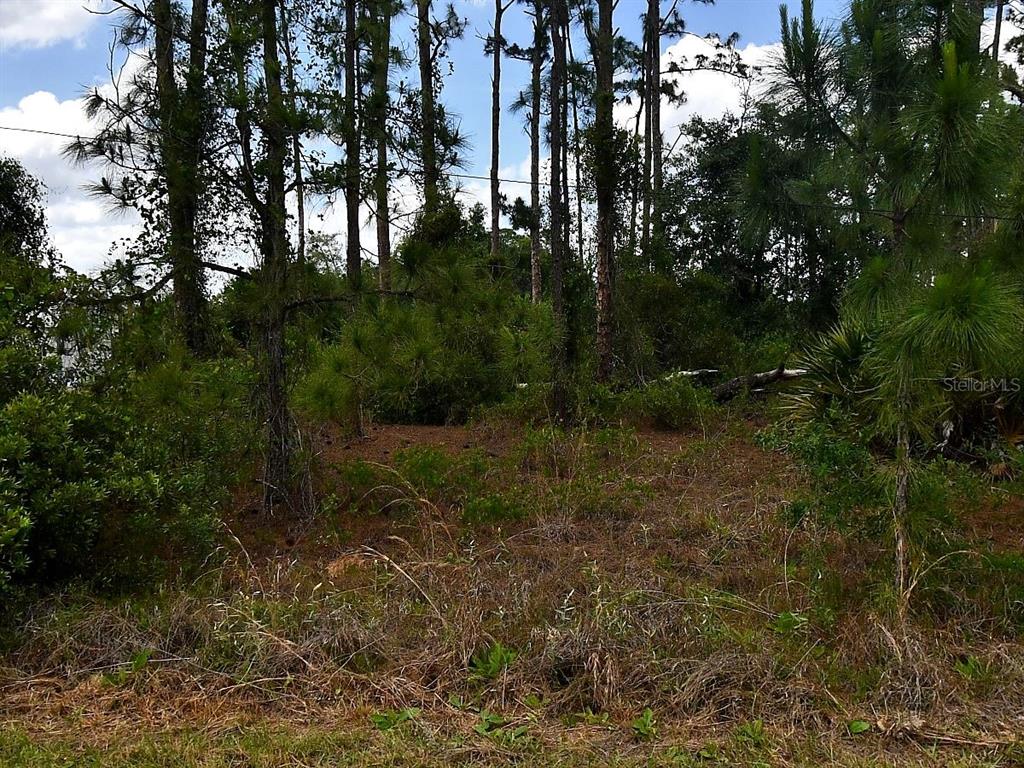 A wooded lot with pine trees and low-lying vegetation under a partly cloudy sky — STARFISH ALLEY, NORTH PORT, FL