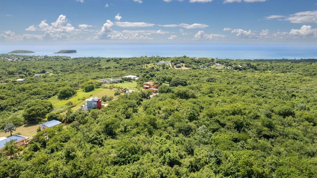 Lot 2 (B2) LA LLAVE, VIEQUES, PR — photo 4 of 14