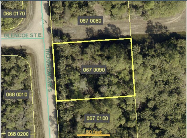 245 Thornton Avenue S, Lehigh Acres FL 33974