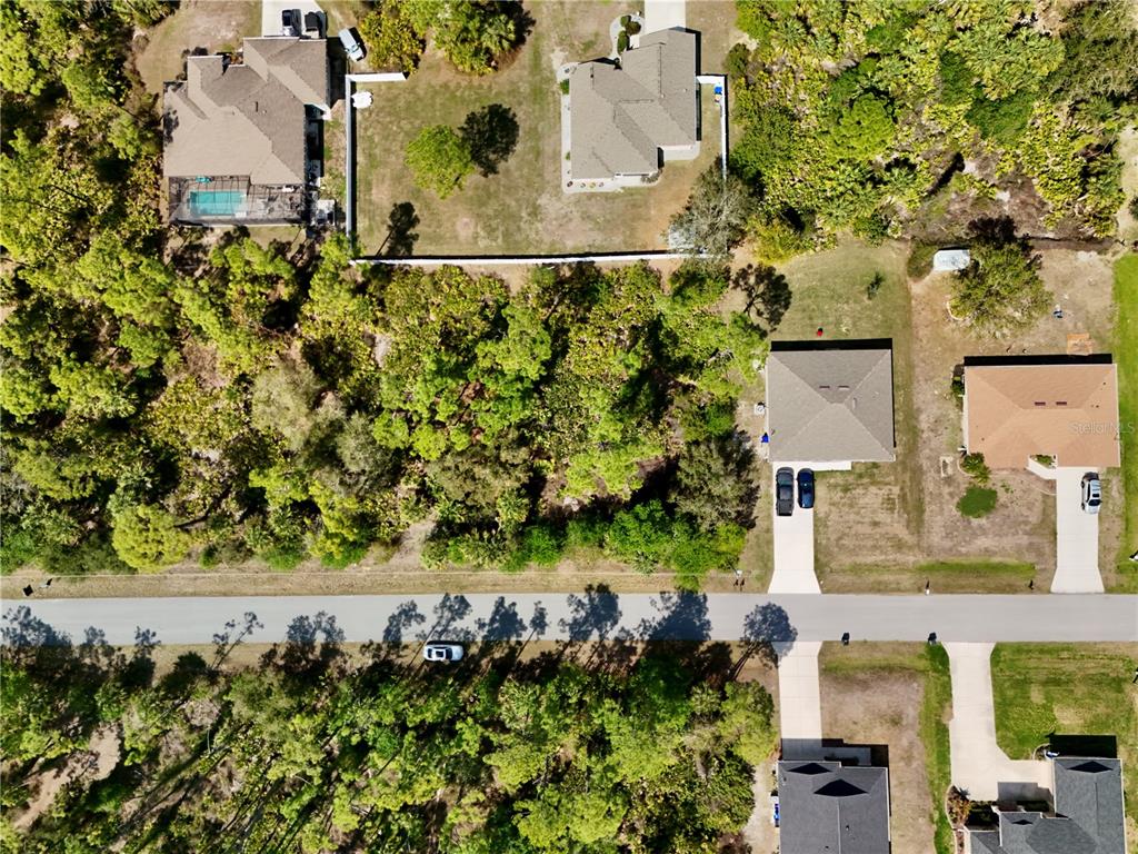 An aerial view shows several houses surrounded by dense trees and a paved road — APOLLO AVENUE, NORTH PORT, FL