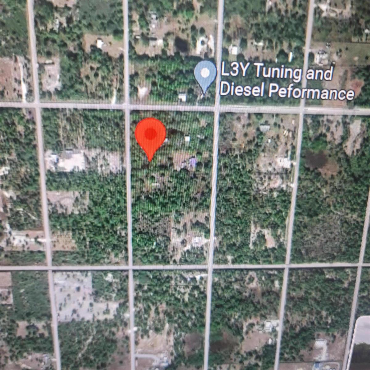 This is a satellite map view showing a red location pin on a wooded lot — 725 S Willow Street, Clewiston FL 33440, CLEWISTON, FL