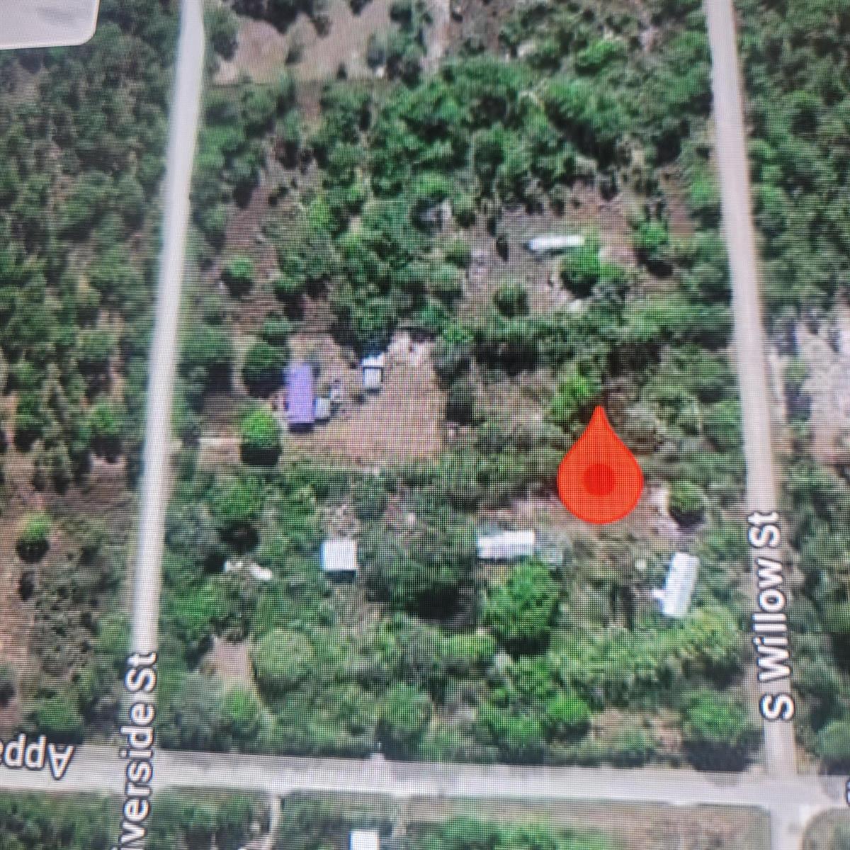 This satellite map view shows a wooded residential lot with several small structures — 725 S Willow Street, Clewiston FL 33440, CLEWISTON, FL