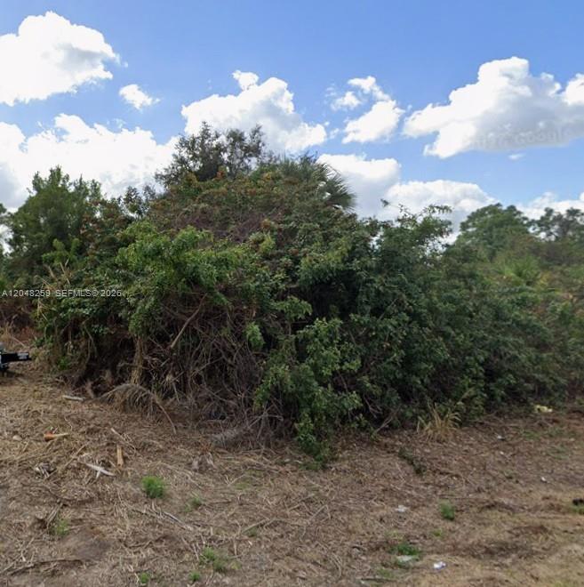 A dense thicket of overgrown trees and shrubs sits on a patch of cleared land — 820 Porter ST E, Lehigh Acres FL 33974, LEHIGH ACRES, FL