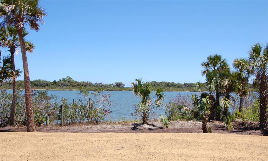 A view of a calm body of water framed by palm trees and sandy ground — 185 JONES FISH CAMP ROAD, EDGEWATER, FL