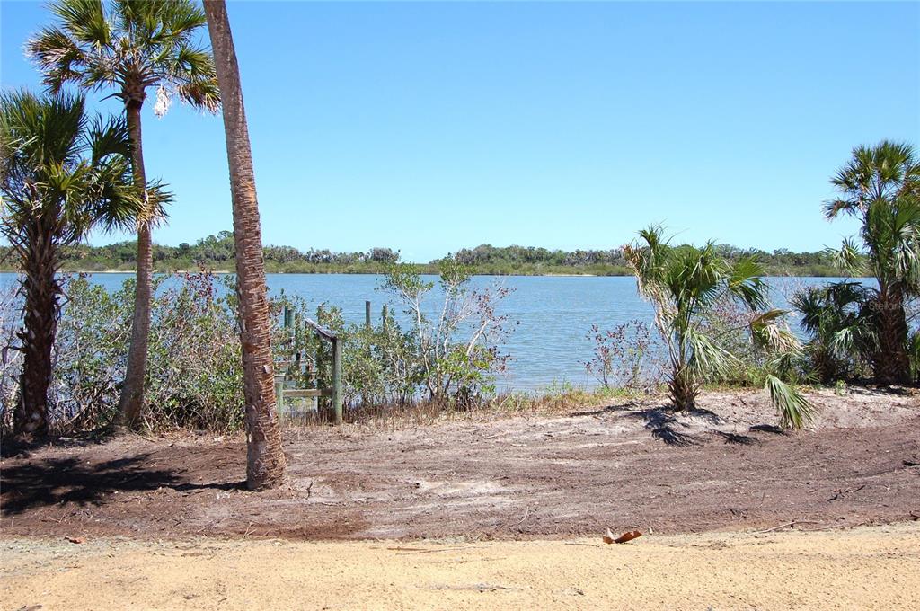 A view of a waterfront lot with palm trees and a small wooden dock — 185 JONES FISH CAMP ROAD, EDGEWATER, FL
