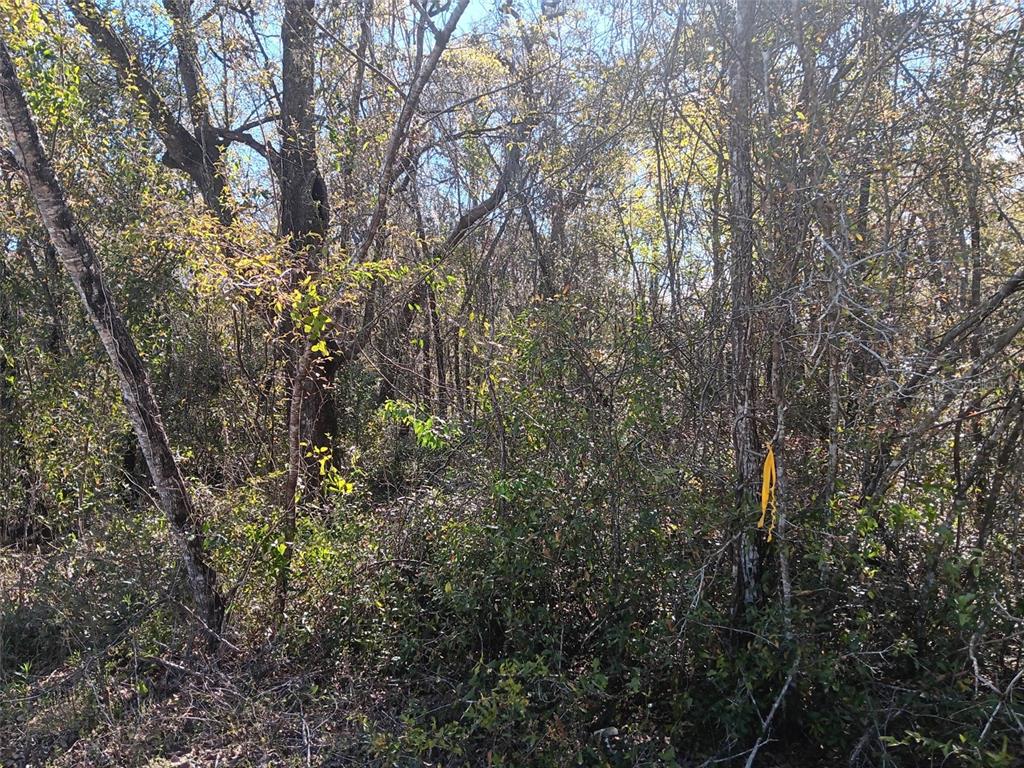 145 PALM DRIVE, BRONSON, FL — photo 2 of 7