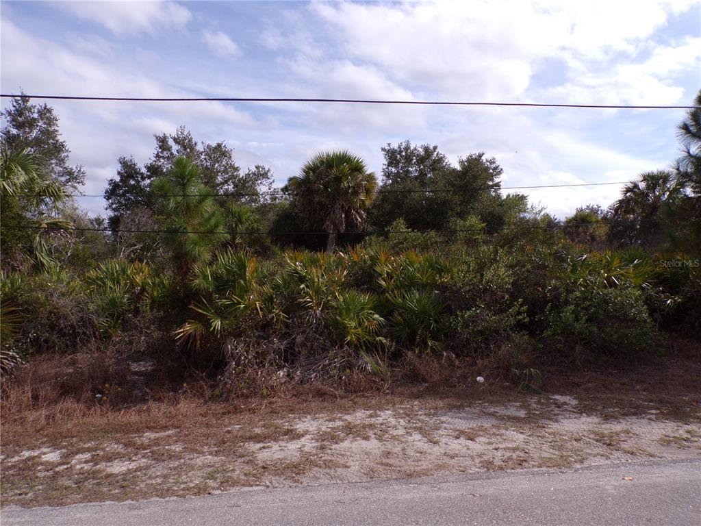 A vacant, overgrown lot with palm trees and dense vegetation borders a paved road — DRYDEN STREET, NORTH PORT, FL